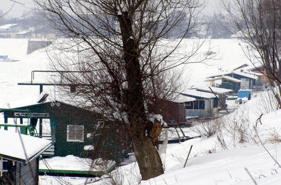 Zale�ena Sava 2012